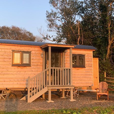 Lle Mary - Beautiful Views, Hot Tub, Secluded, Dog Welcome, Barmouth Llanddwywe Zewnętrze zdjęcie