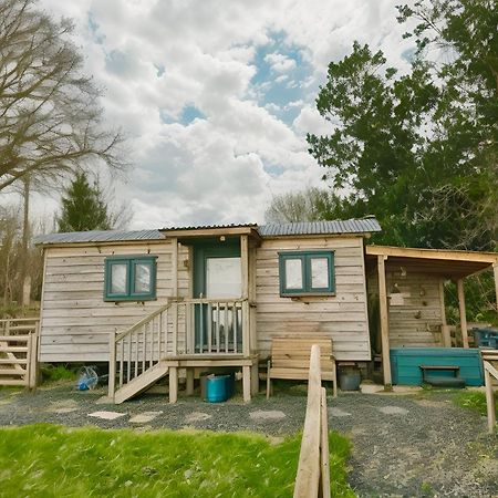 Lle Mary - Beautiful Views, Hot Tub, Secluded, Dog Welcome, Barmouth Llanddwywe Zewnętrze zdjęcie