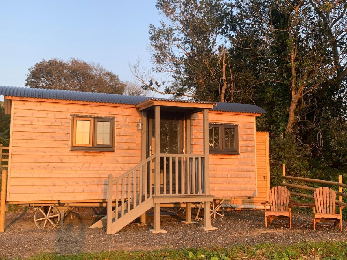 Lle Mary - Beautiful Views, Hot Tub, Secluded, Dog Welcome, Barmouth Llanddwywe Zewnętrze zdjęcie