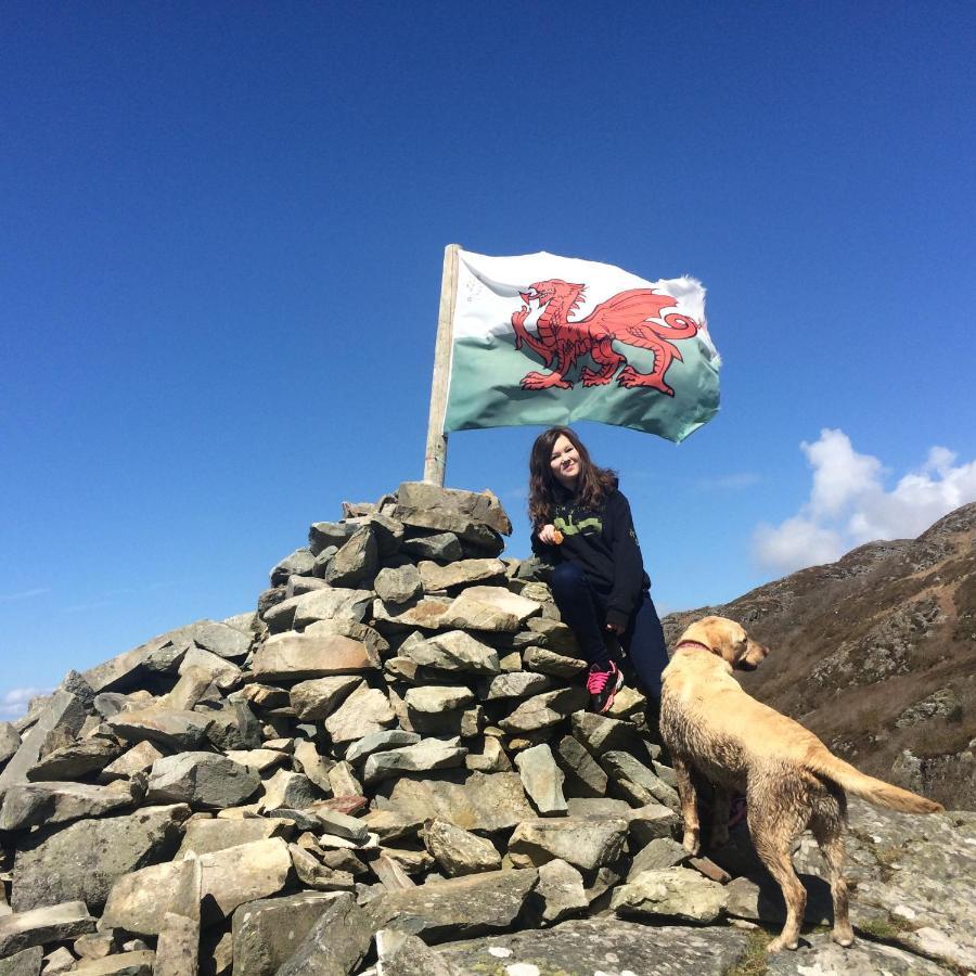Lle Mary - Beautiful Views, Hot Tub, Secluded, Dog Welcome, Barmouth Llanddwywe Zewnętrze zdjęcie
