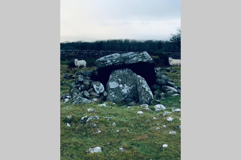 Lle Mary - Beautiful Views, Hot Tub, Secluded, Dog Welcome, Barmouth Llanddwywe Zewnętrze zdjęcie