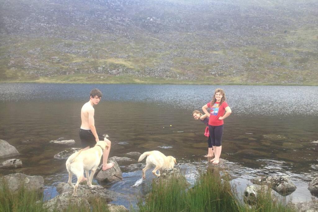 Lle Mary - Beautiful Views, Hot Tub, Secluded, Dog Welcome, Barmouth Llanddwywe Zewnętrze zdjęcie
